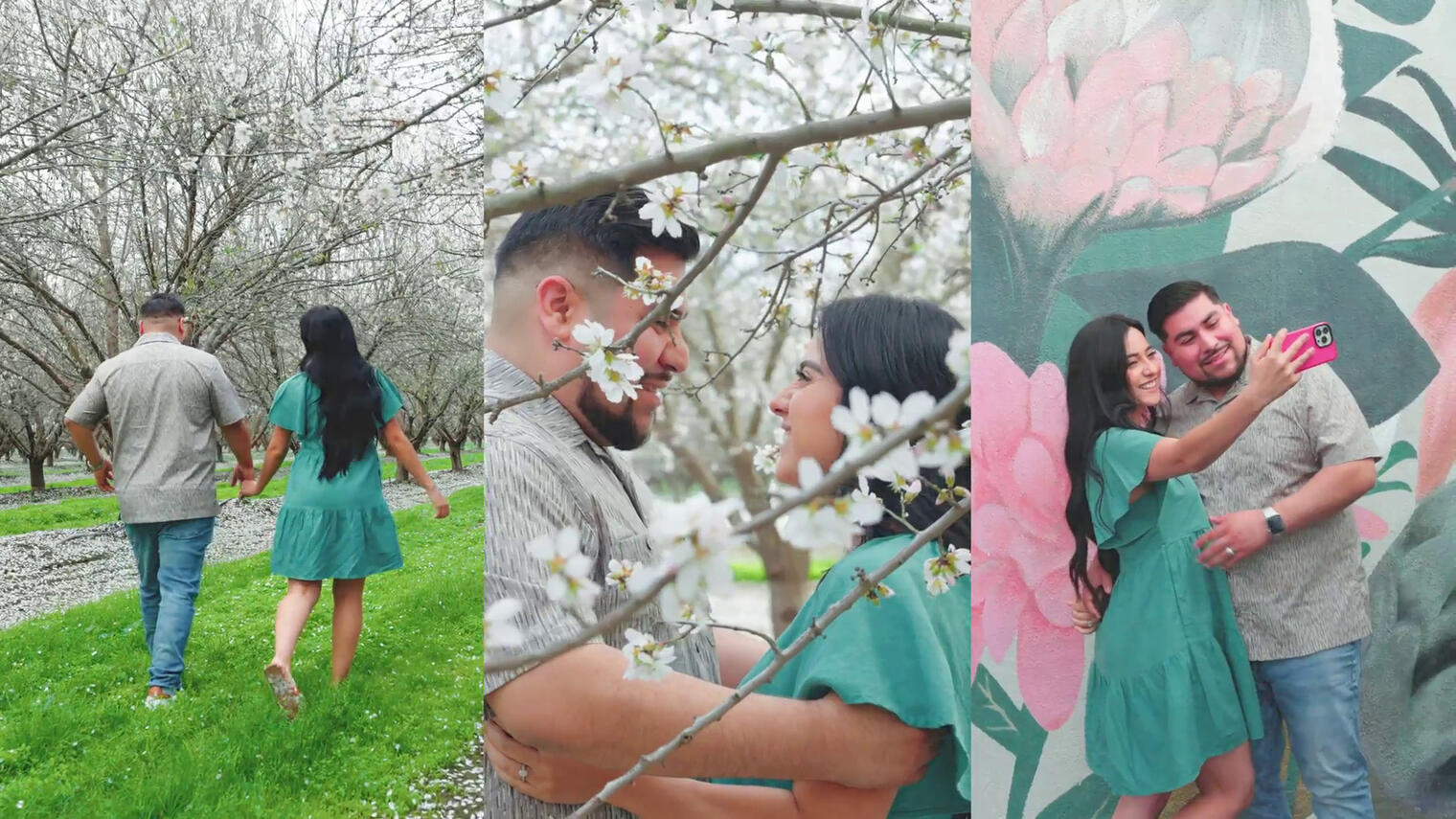 Almond Blooms | Visit Bakersfield